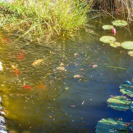 Alexandros Polychrono