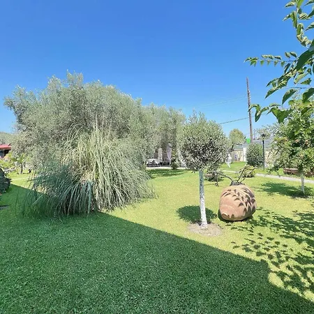 Alexandros Apartamento